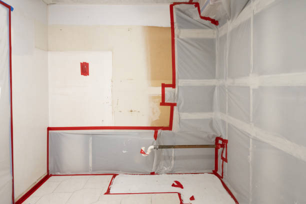 Best Mold Prevention Services  in Verdi, NV